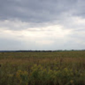 Meet your Posher, Anne